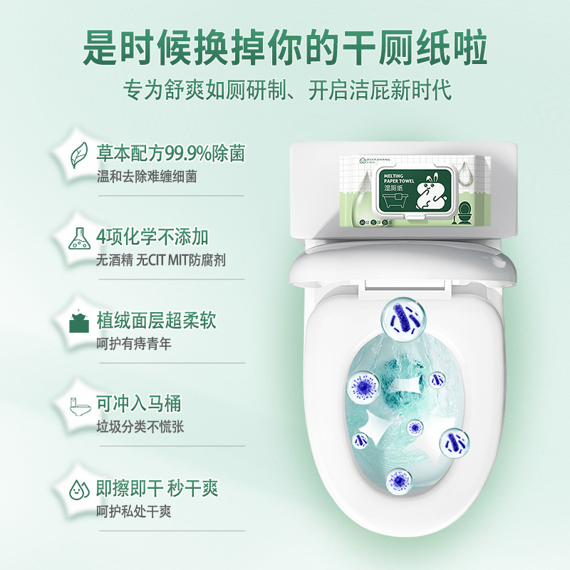 Wet Toilet Paper Household 80 Pieces of Private Cleaning and Care Degradable Toilet Flush Butt Wipe Bacteriostatic Cleaning Toilet Wet Tissue Paper