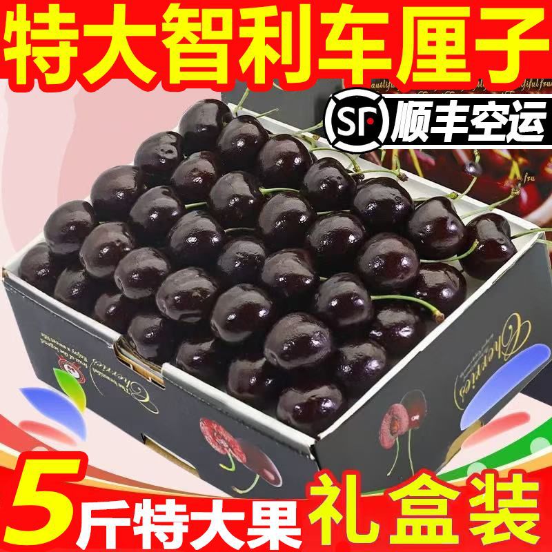 [Sf подарочная коробка] Вишни, сезонные свежие фрукты для беременных, не большие вишни, бесплатная доставка