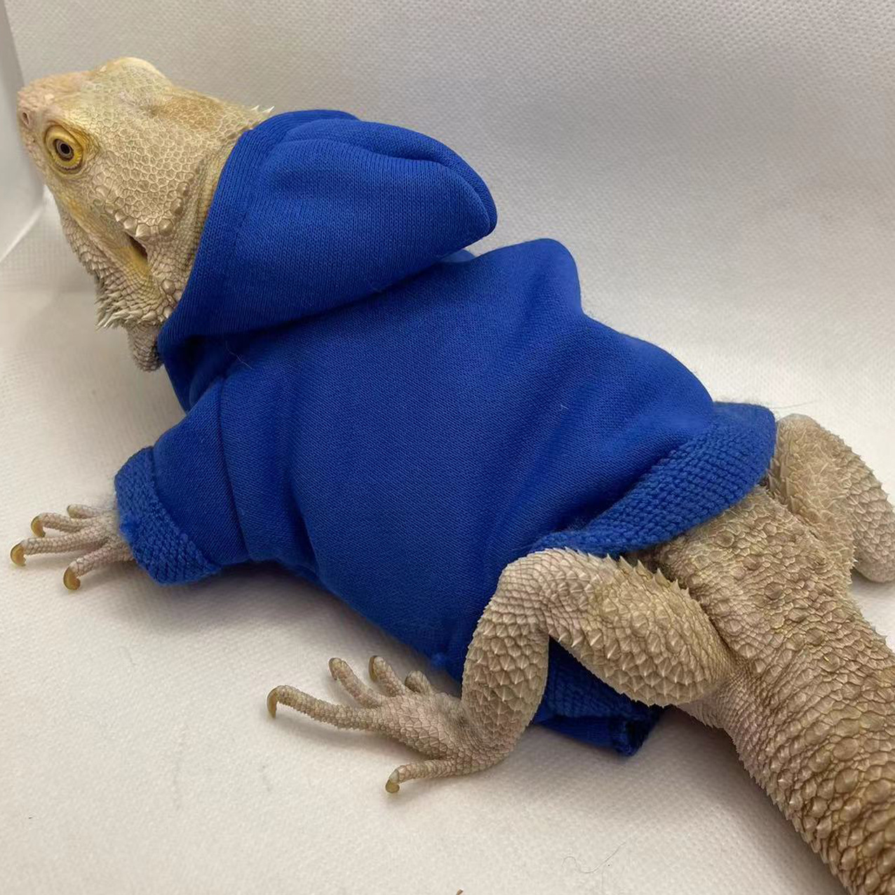 Lizard Clothes Hoodie T-shirt Climbing Pet Going Out Transformation Clothes Walking Lizard Small Pet Clothes Supplies