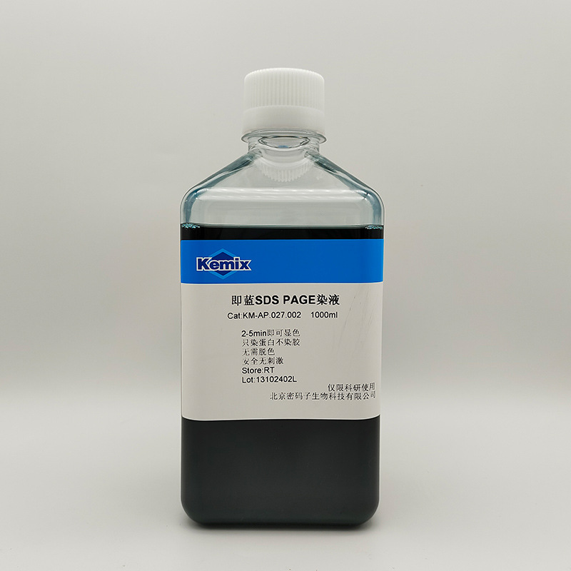 SDS PAGE fast protein staining solution WB experiment protein biochemical experiment factory supply