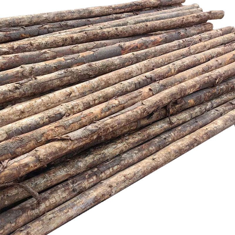 Australian Pine Piling Wood Flood Prevention Wood Pile Australian Pine Log Wood Supplies Various River Construction Site Logs Anti-Corrosion Wood