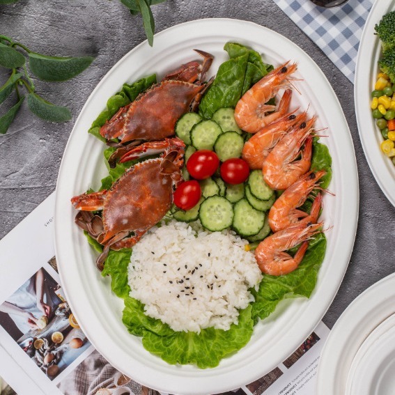 12inch Sugar Cane Pulp Oval Plate Dinner Plate Tableware Pulp Dish Disposable School Unit Company Canteen Dinner Plate