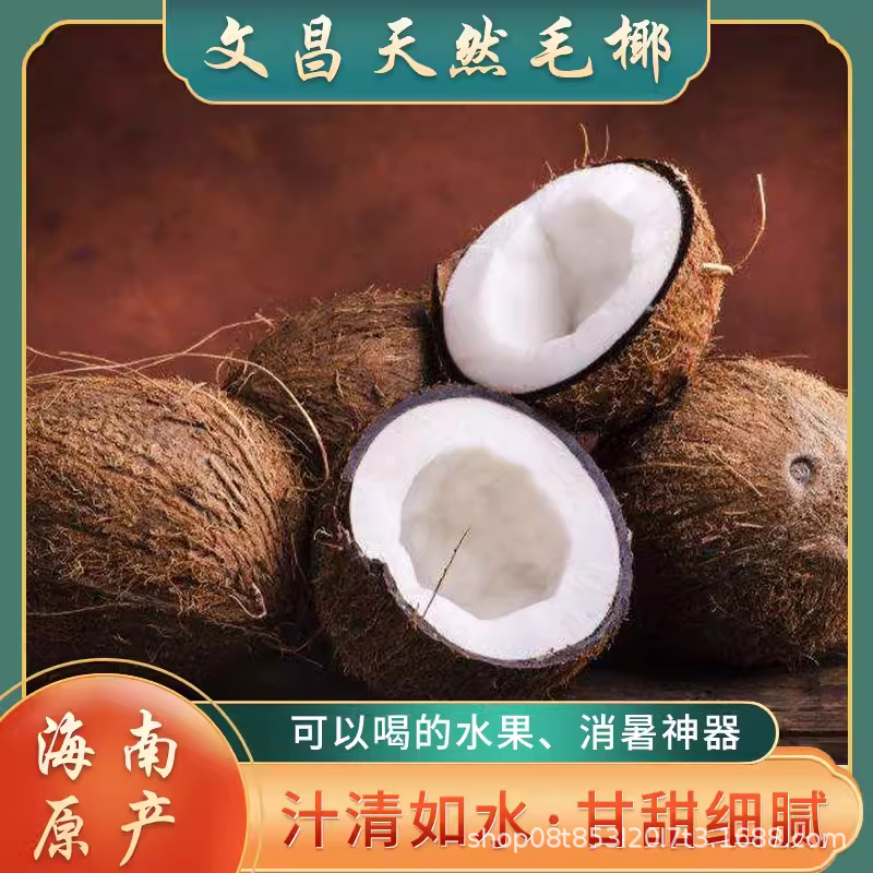 Старый кокос Хайнань, волосатый кокос, свежий оптовый кокос, куриный кокос, кокосовый фрукт, кокосовое мясо, сок, суп