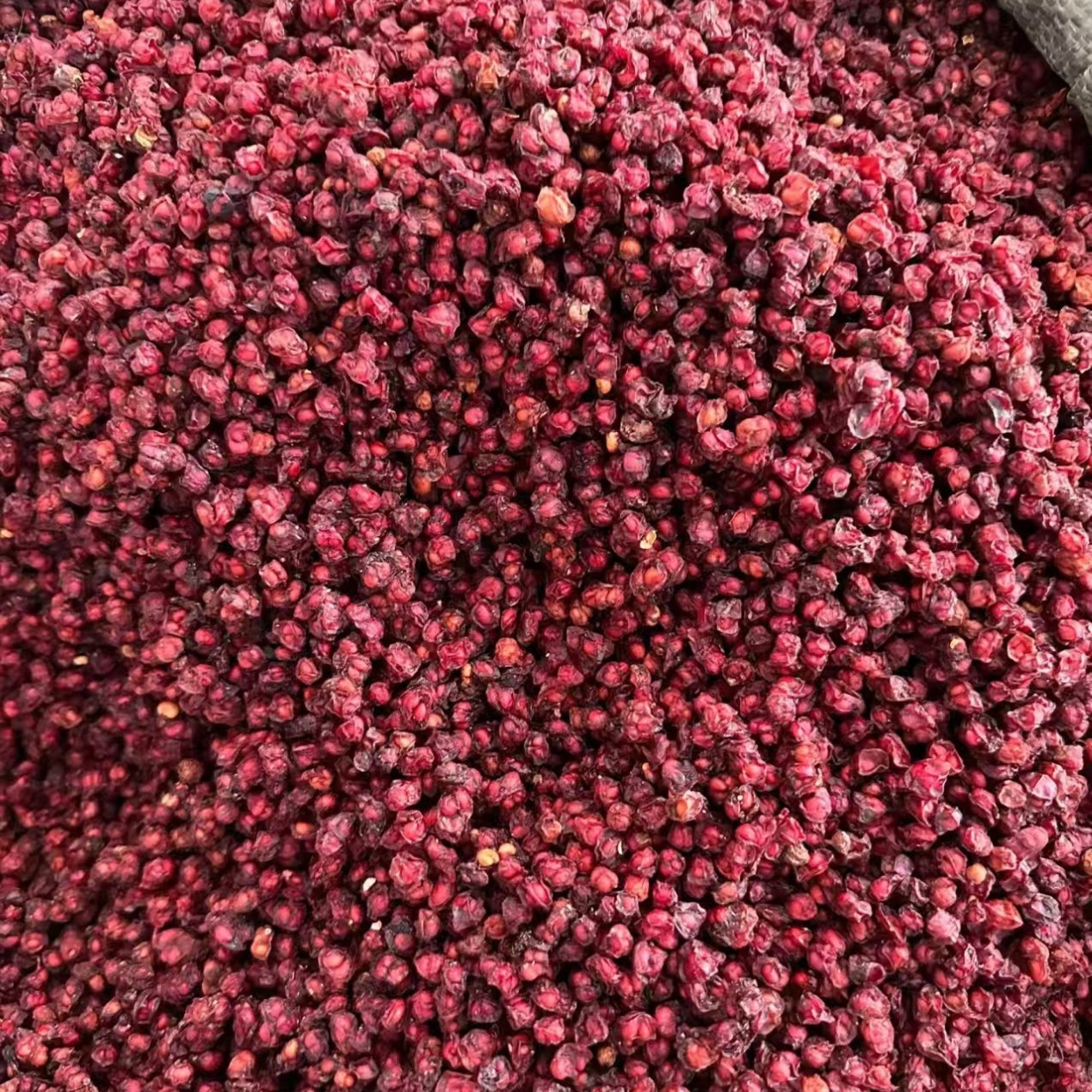Schisandra Changbai Mountain Chinese Medicinal Materials Genuine New Seeds Northern Schisandra Powder Small Red Fruit Wild Tea Water Nourishing Franchise