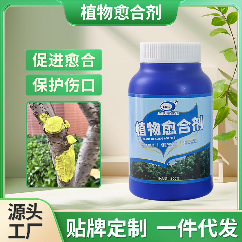 Lan Kangbao plant trunk wound incision healing agent seedling fruit tree bonsai branch pruning stump bark grafting