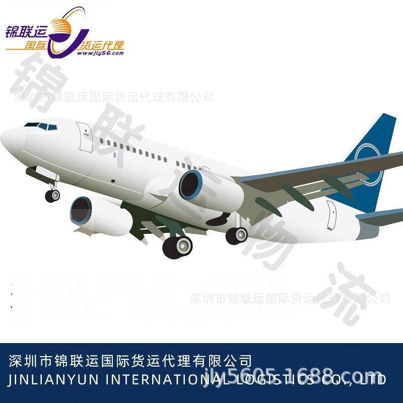 European Imitation Brand Air Shipping Double Clearance Including Tax Dedicated Transport for Watches and Cameras Export to Lithuania, No Information Required for Door-To-Door Service