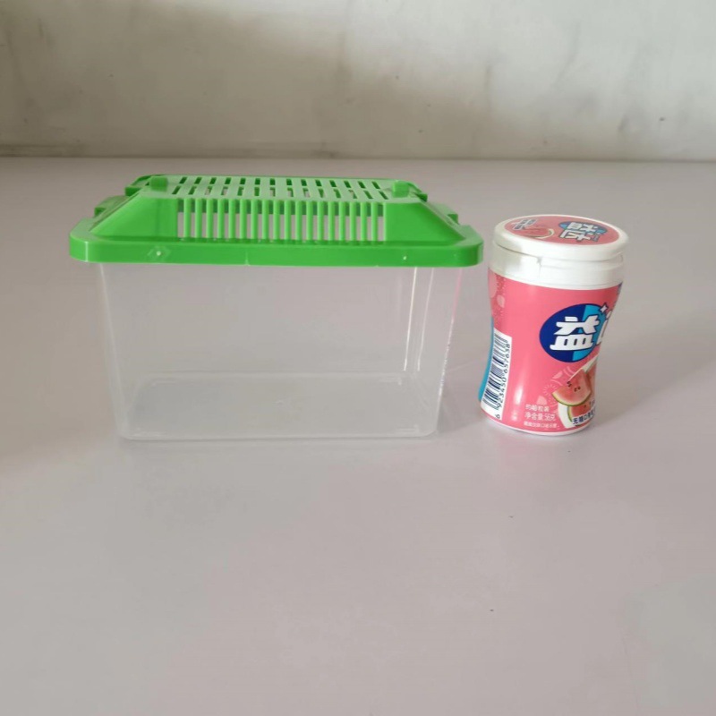 Portable transparent plastic box hamster transport belt box turtle breeding box crawler feeding box goldfish stall ring