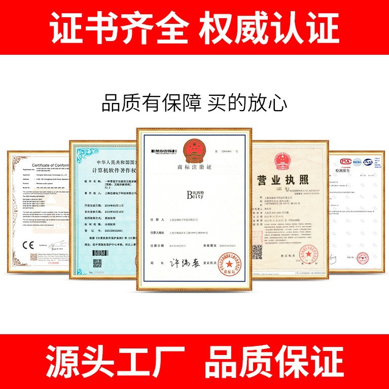 Bisite Wireless Tour Guide System for One-To-Many Tours, Rental Version, 2.4g Ultra-Long Standby, Intelligent Anti-Interference