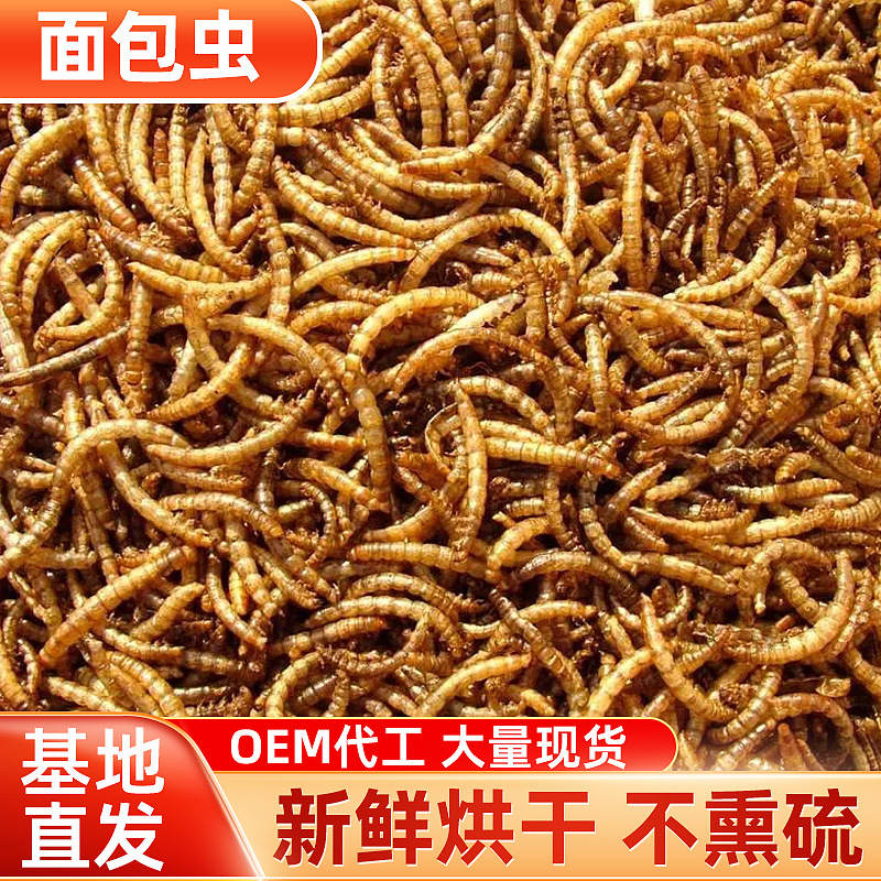 Сублимированные мучные черви, корм для домашних животных, мучные черви, разведение черепах, птиц, рыб, корм для питомцев