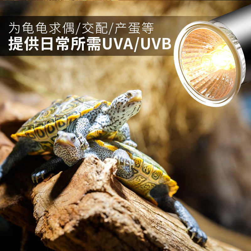 Tortoise Sun backlight calcium heating lamp full spectrum uva + uvb sun lamp Sun turtle bulb climbing pet lamp UVB