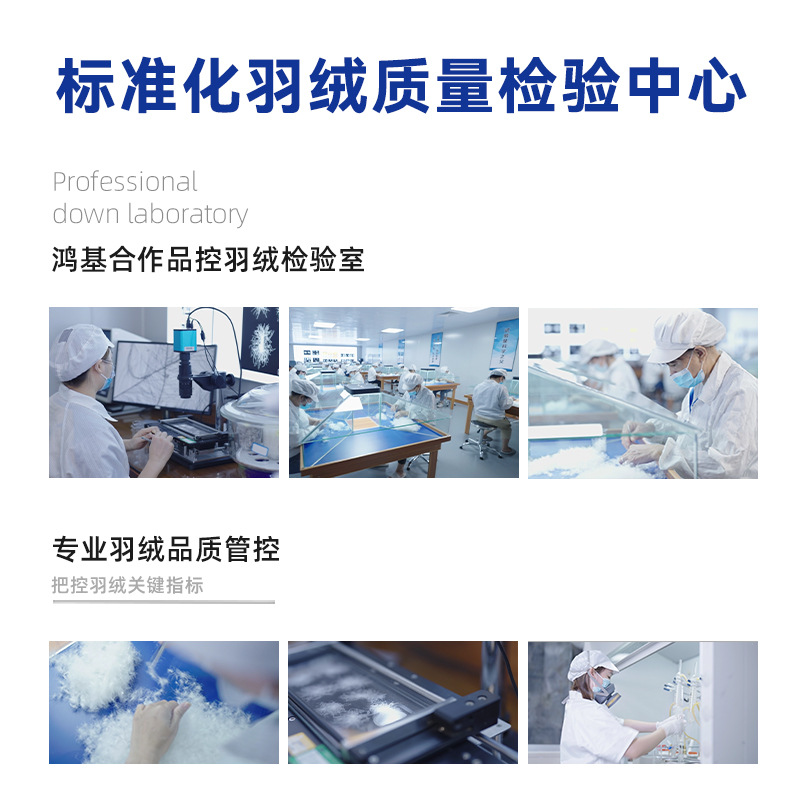 Hongji 4A down Quilt 95 White Goose down Quilt Core Quilt Thickeneded Winter Quilt Goose down Quilt Xiaohongshu Same Style