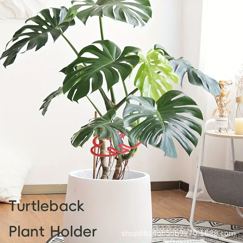 Bambusa turtle support rod anti-reverse support support spring feather folding fixed frame gardening flower pot flower support hydroponics flower stem