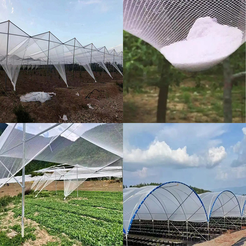 Polyethylene rhombic white anti-hail net for fruit orchards pe crescent thickened anti-hail net for breeding vineyards