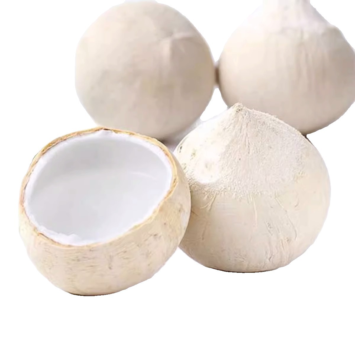 [Sf Express] Thai Milk Coconut Fresh 6-Pack Young Coconut Seasonal for Chicken Soup Old Coconut Flesh 300-400g