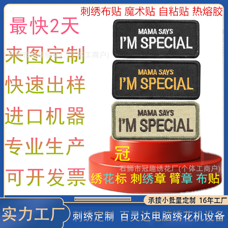 Customized Bangs Patches, Velcro Patches, Custom Pet Towel Embroidery, Custom Embroidered Cartoon Badges, Patch Patches