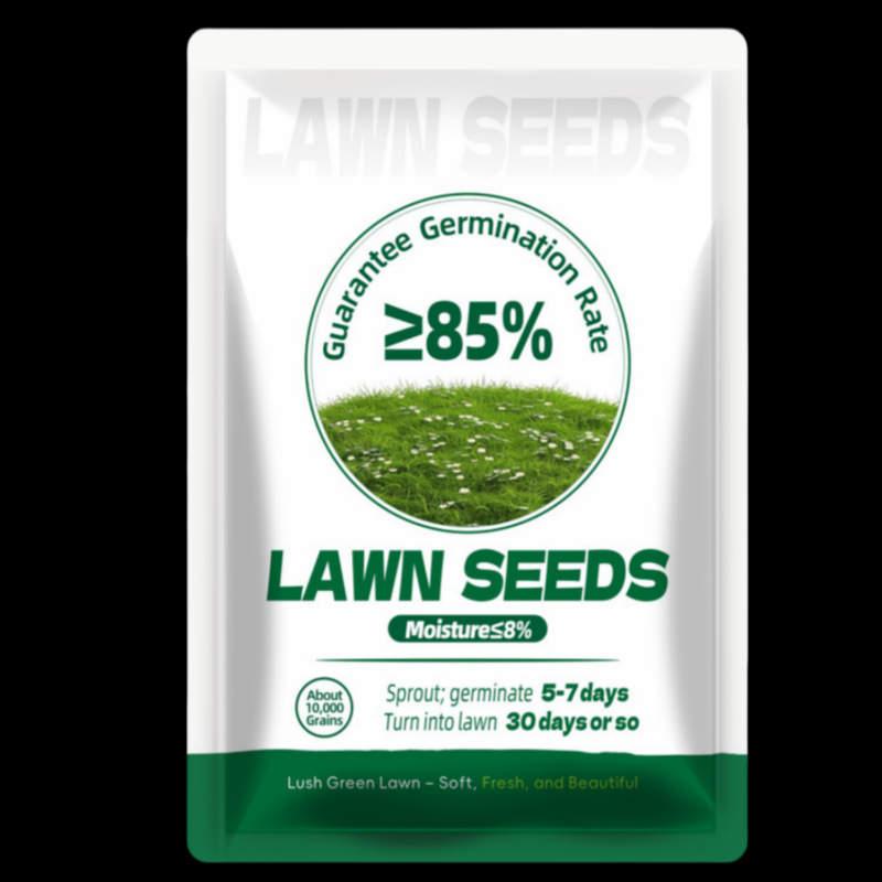 Cross-Border Foreign Trade Lawn Grass Seeds, Evergreen, Cold-Resistant and Drought-Resistant, Slope Protection Courtyard Grass Seeds, Small Packaging Wholesale