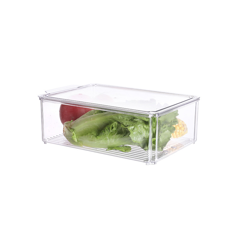 Zhang Gong Cross-Border Pet Crisper Refrigerator Storage Box Food-Grade Transparent Drain Flip-Top Egg Box Dumpling Box
