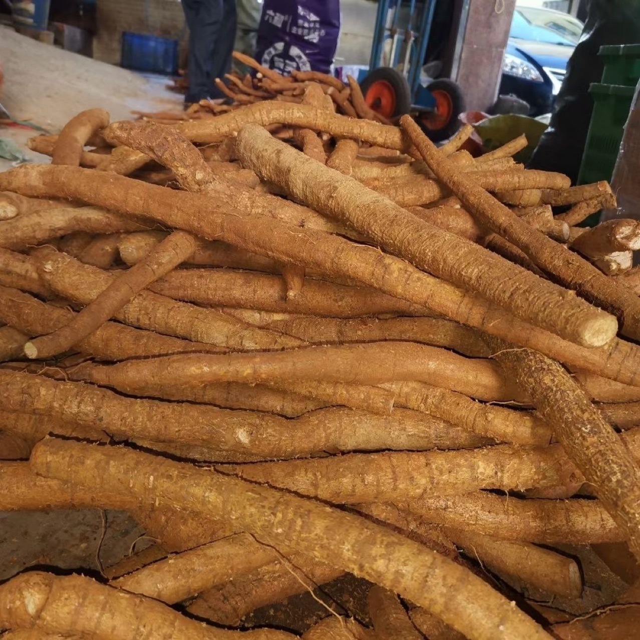 Fresh Cattle Vigorous Exhibition Stall Fresh Cattle Vigorous Autobian Middle-of-age Compassion Cattle Vigorously Dried Cattle