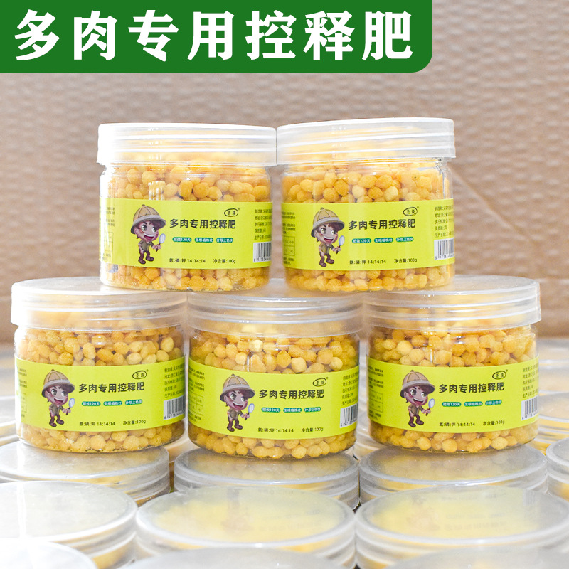 Fleshy Granular Slow Release Fertilizer Home Gardening Controlled Release Fertilizer Water Soluble Fertilizer Flower Universal Fertilizer Plant Fertilizer