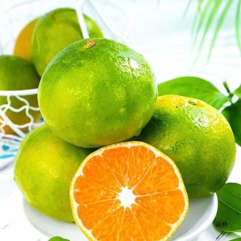 Yunnan Seedless Tangerines 5kg Fresh Fruits for Pregnant Women Seasonal Oranges Citrus Oranges Tangerines Whole Box Green Green Skin