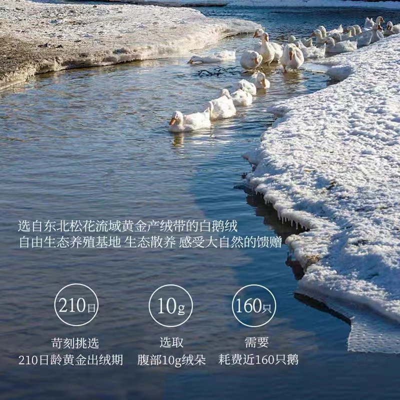 Hilton Five-Star Hotel Duvet 95 White Goose down Spring & Fall Quilt Core Winter Quilt Home Summer Quilt Wholesale