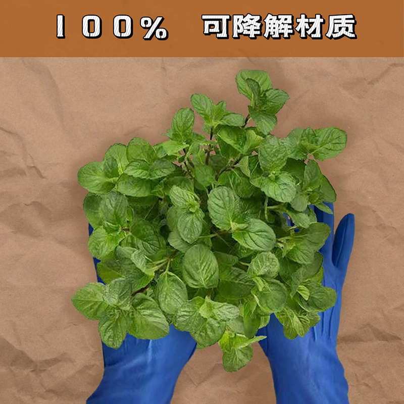 Cross-Border Thickeneded Biodegradable Brown Kraft Paper Weed Control Lawn Garden Paper Landscape Organic Weeding Paper