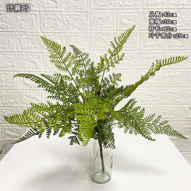 Wholesale High Imitation Persian Fern Grass, Various Styles of Grass Rows, Green Tiandong Landscape Plants, Fern Grass Leaves