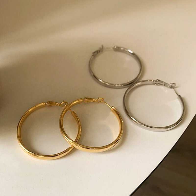 French-Style Metal Hoop Earrings 2025 New Model for Women, Trending on Tiktok, Unique and Elegant Earrings Wholesale