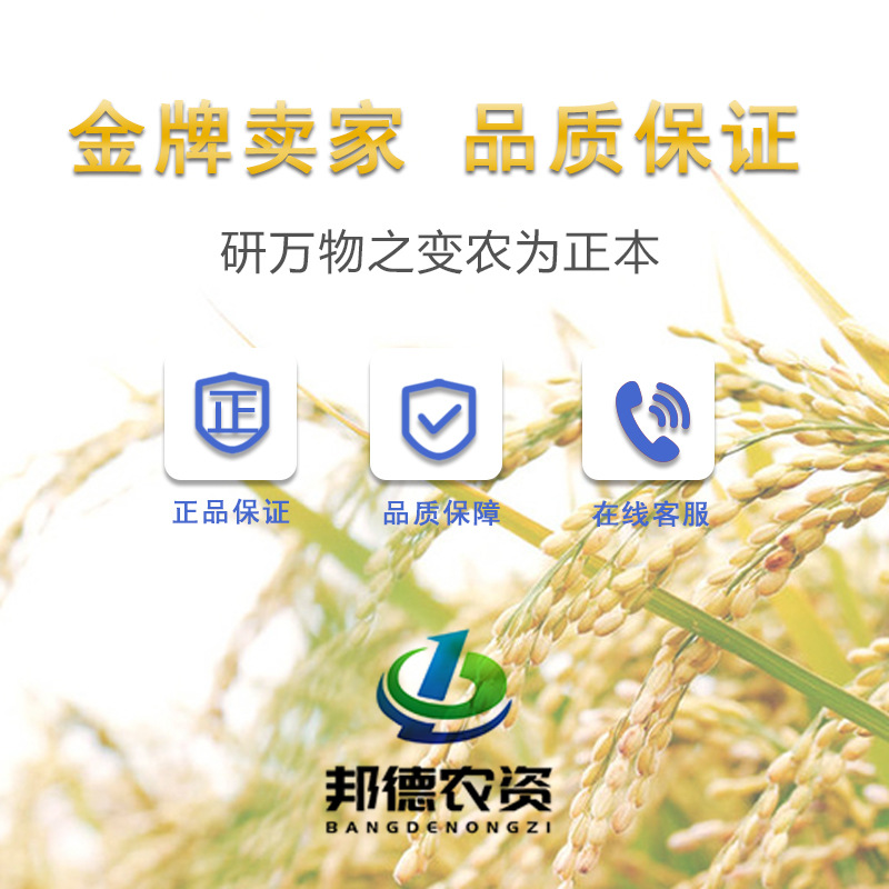 Shanghai Tongrui Sanliu 20% Gibberellic Acid Tablets Grape Strawberry Plant Growth Regulator Pesticide