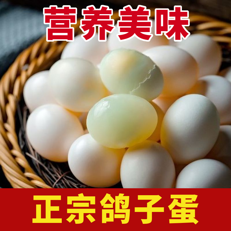 Sf Express Free Shipping [30 Pieces over 610 Grams] Fresh Pigeon Eggs Farm Grain Feeding Pigeon Eggs Farm Direct Delivery