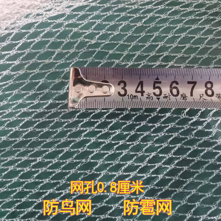 Fruit tree anti-hail net Orchard vegetable garden anti-hail net grape Cherry anti-bird net polyethylene anti-Dragonfly falling object fence