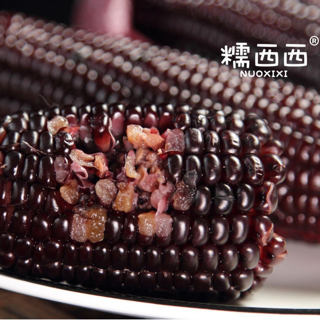 New Arrival Nuoxixi Black Glutinous Corn Sweet Sticky Corn Vacuum Packaging