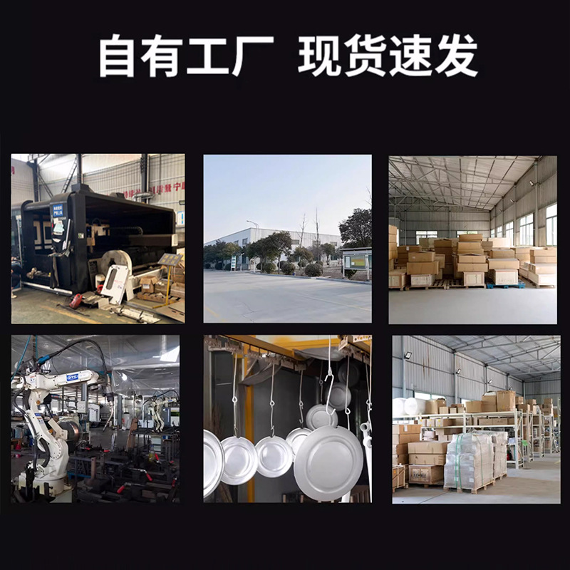 Led Shadowless Lamp Double-Headed Hanging Cold Light Inspection Lamp External Camera Gynecological Oral Pet Wholesale Shadowless Lamp