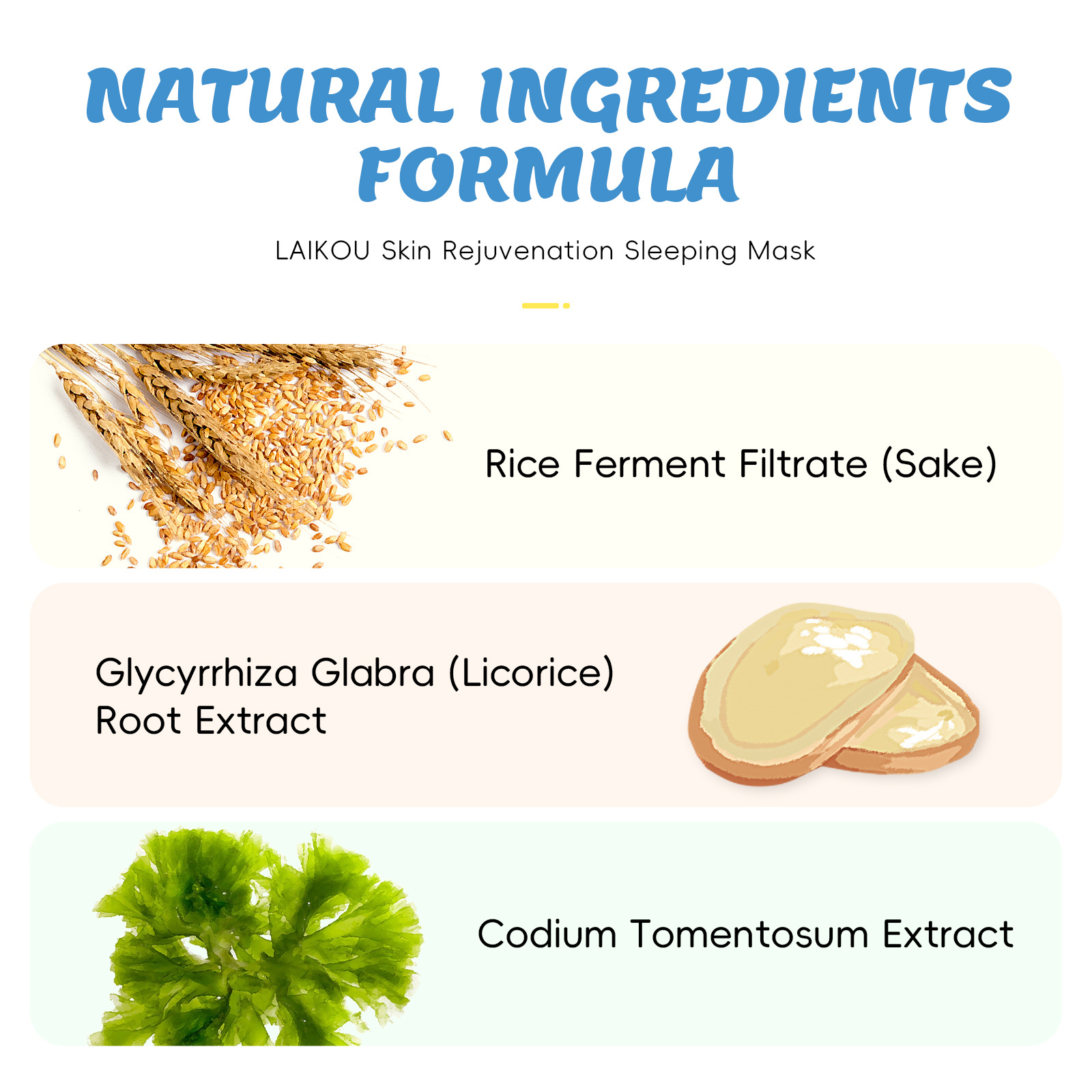 Cross-Border Laikou Koala Cares Full English Sleeping Mask Sheet Single Piece 3g Moisturizing Export Mask