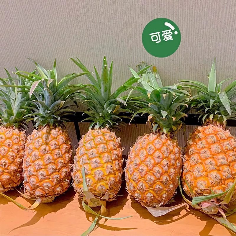 Golden Diamond Pineapple 5kg Selected Tree-Ripe Seasonal Tropical Fresh Fruit Non-Pineapple Hand-Torn Yunnan Pineapple Whole Box