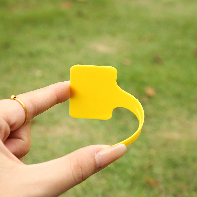 Horticultural label T-type succulent plant flower plate plastic rainproof seedling flower pot sign factory wholesale