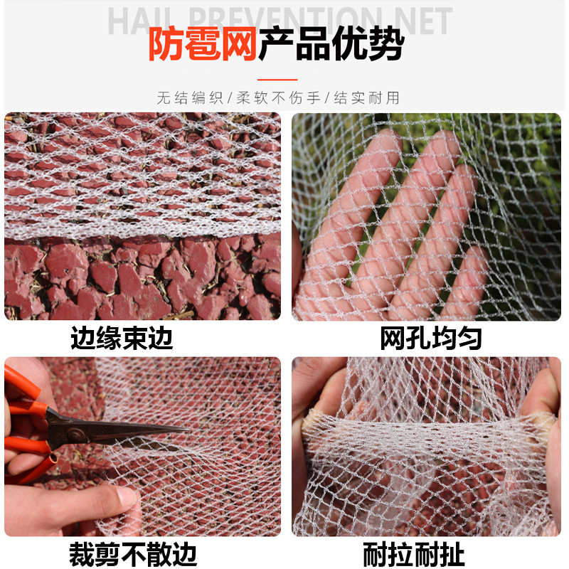 Anti-Hail Net Manufacturer Hdpe Anti-Hail Net for Gardens and Orchards, Cross-Border Netting, Polyethylene Agricultural Anti-Hail Net for Orchard Protection