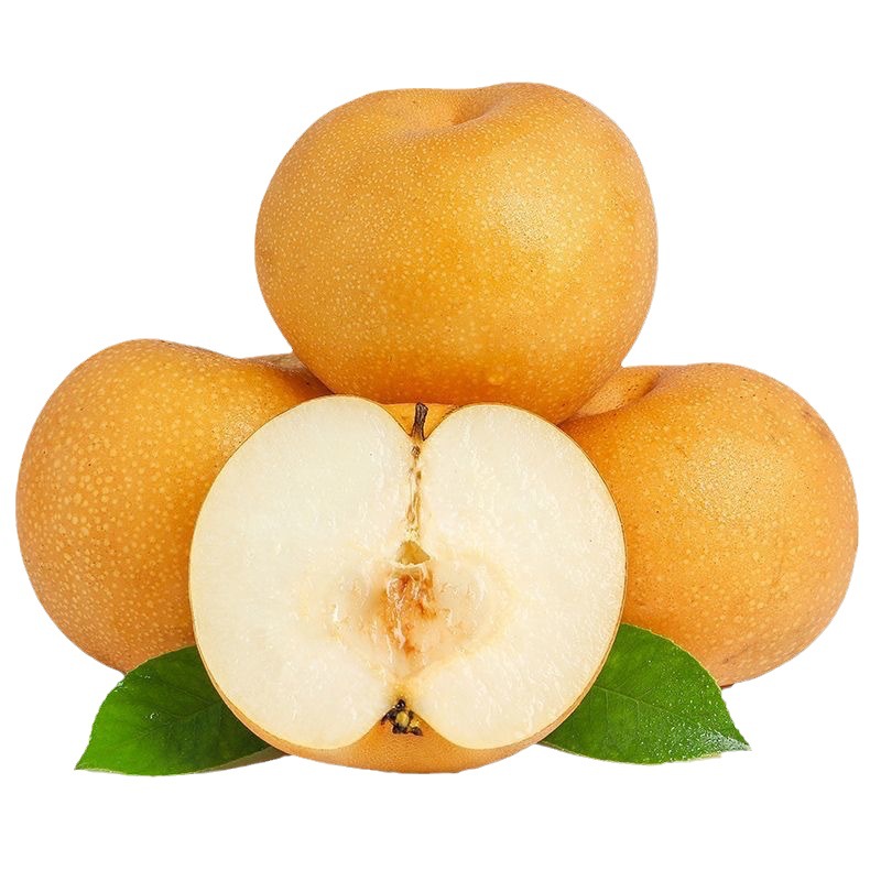 Authentic Qiuyue Pear 4.5kg Whole Box Fruit Rock Sugar Pear Wholesale Free Shipping 5 Shandong Laiyang Premium Pears