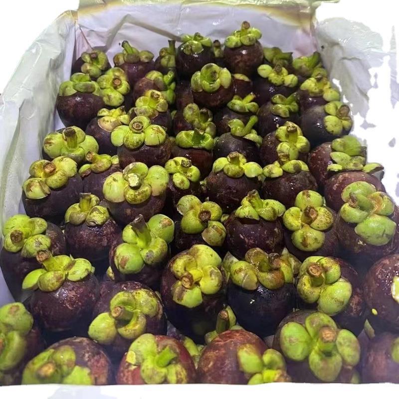 [Sf Free Shipping] Thailand Imported Mangosteen Fresh Old Tree Mangosteen 5/6A Large Fruit 1.5kg Qisha Bamboo Others