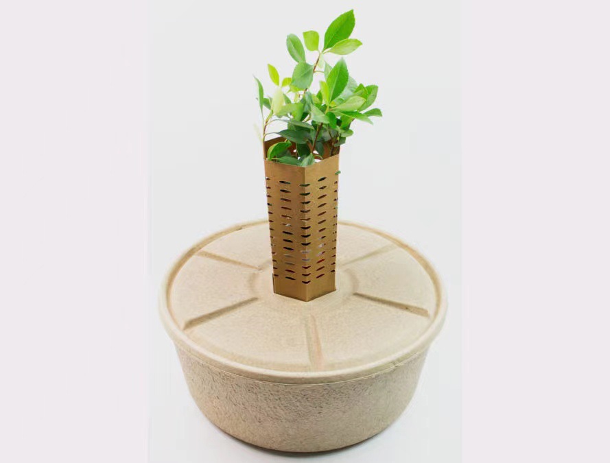Chongqing Huanlu Pulp Molded Planting Pots for Acidic Soil and Desert Areas for Tree Planting Are Waterproof, Biodegradable and Environmentally Friendly