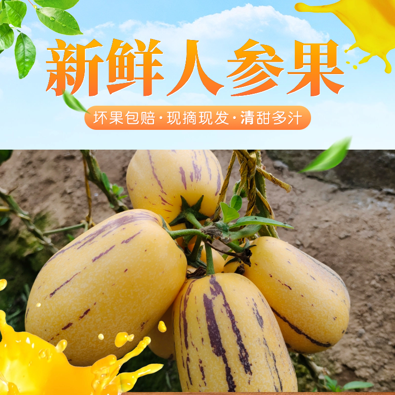 Sweet and Juicy Gansu Minqin Ginseng Fruit with Yellow Flesh and Yellow Heart, Freshly Picked Seasonal Low-Sugar Fruit, a Whole Box