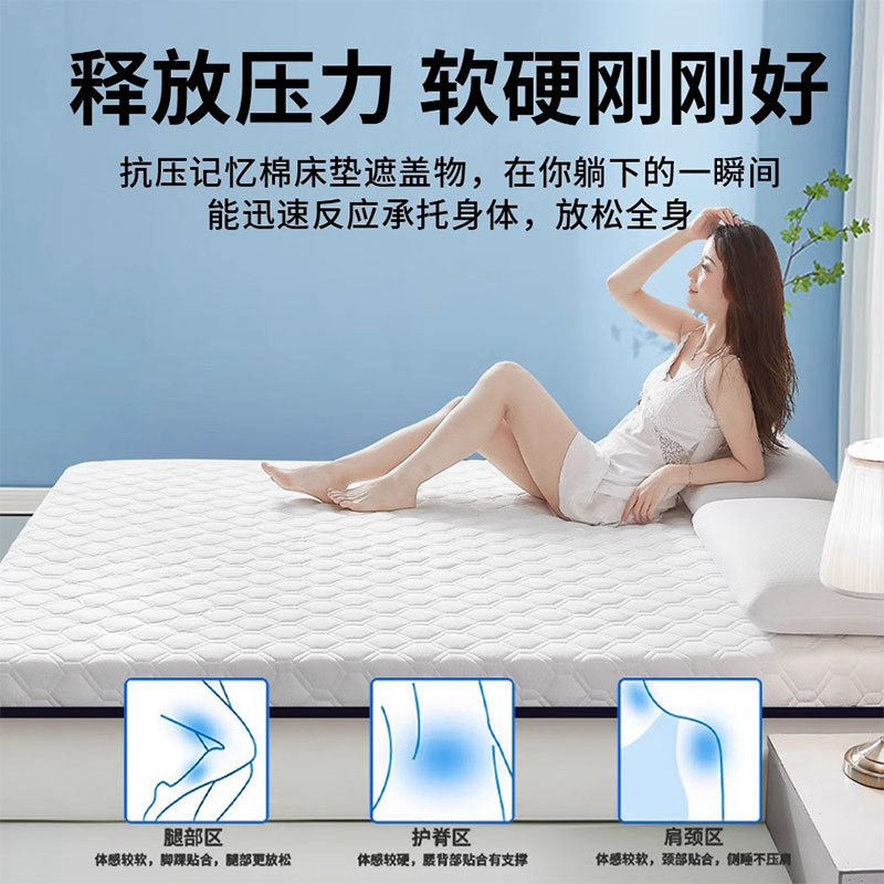 Latex Mattress Home Bedroom Cushion Special Tatami Mat for Rental Housing Dormitory Student Single Sponge Bed Mattress