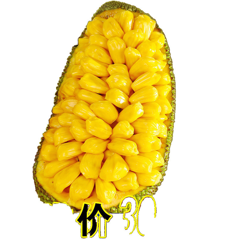Hainan Sanya Jackfruit, a Whole Fresh Fruit, Seasonal Yellow-Fleshed Jackfruit, Wholesale Whole Box, Free Shipping