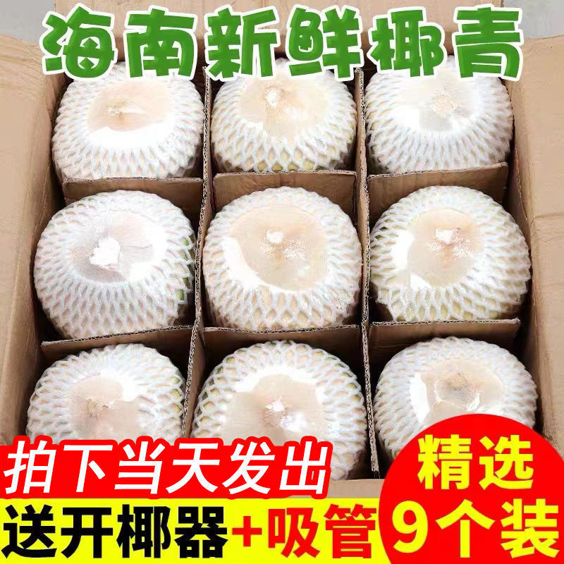 Hainan Coconut Green Fresh Coconut 2/4/6/9 Pack Seasonal Fruit for Pregnant Women Whole Box Specialty Wholesale Free Shipping