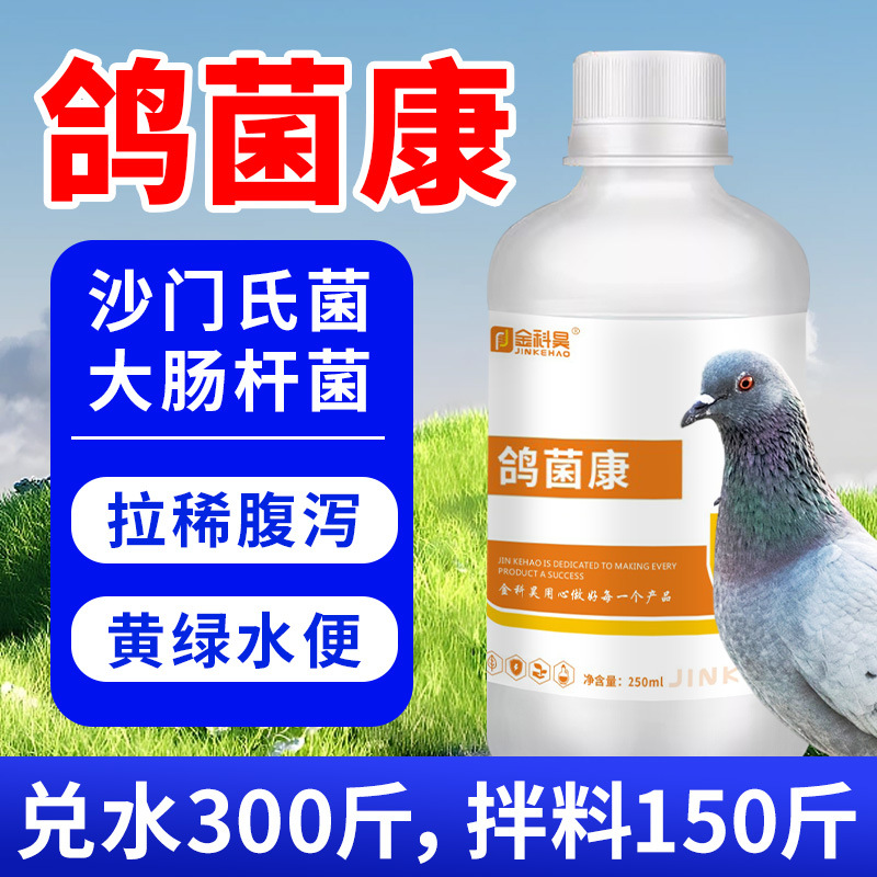 Pigeon Health Care for Racing Pigeons, Salmonella, Escherichia Coli, Parrots, Birds, Black-Bellied, Colorful Pheasants, Not for Consumption