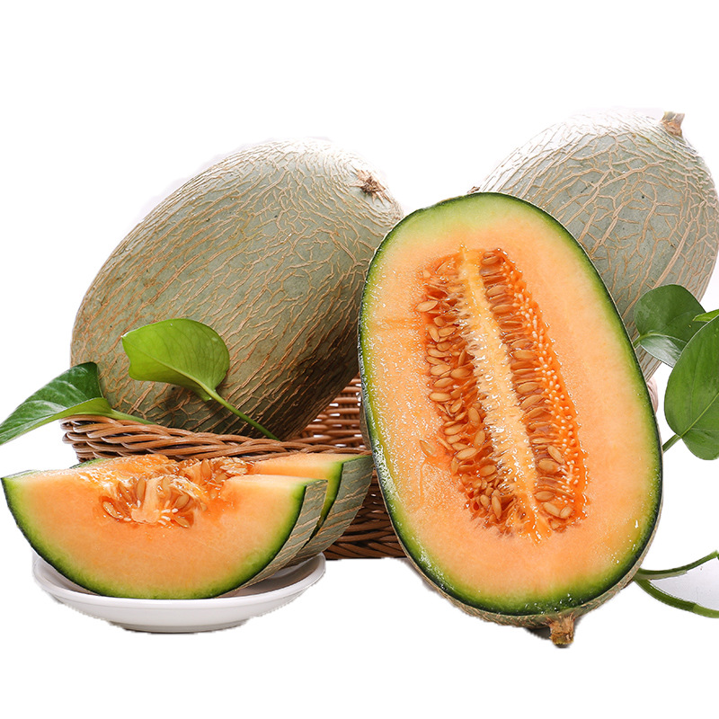 Shandong Hami Melon, Xichou Honeydew Melon, Fresh Fruit, Whole Piece, Free Shipping, Fresh Honeydew Melon, One Piece Drop Shipping