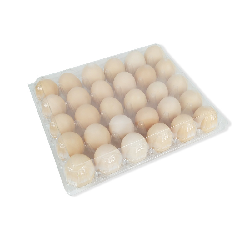 Disposable Egg and Duck Egg Holer Transparent Packaging Box Supermarket Special Packaging Box Anti-shattering Anti-pressure Holer Buckle Packaging Box