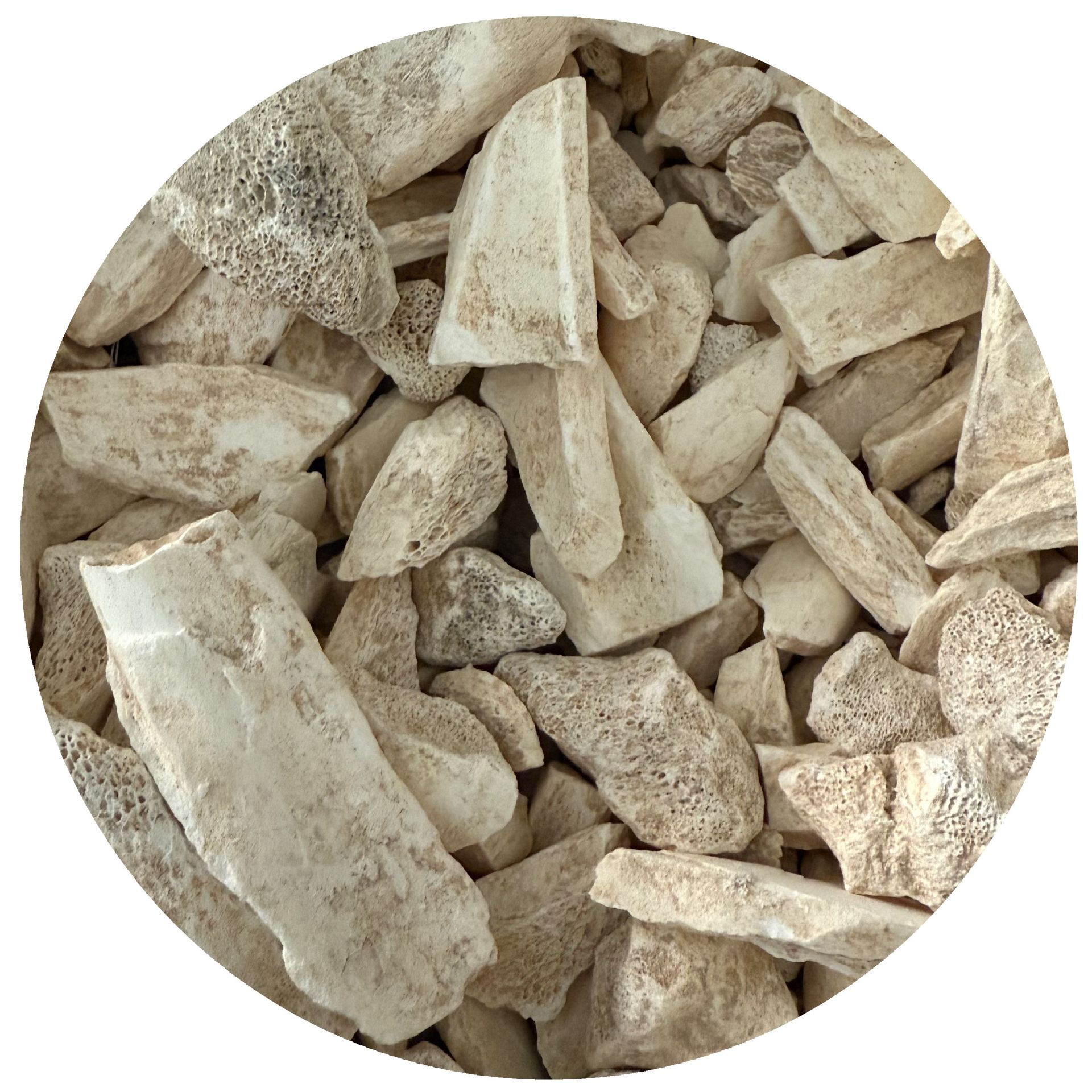 Dragon Bone, Washed Dragon Bone, Dragon Bone Herbal Medicine, Real Product Photography, Various Specifications