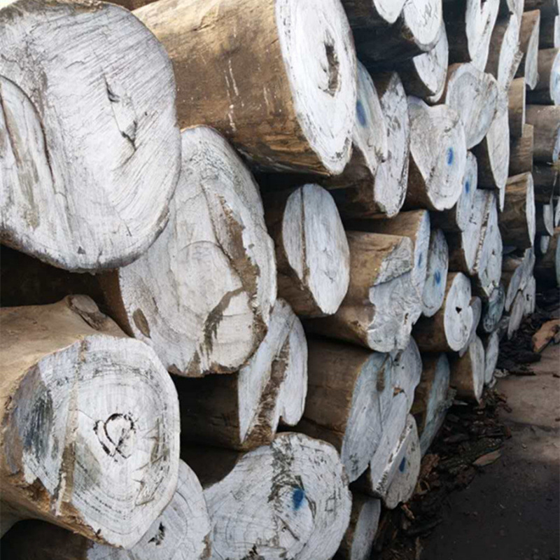 Production and Supply of Argentinian Green Sandalwood High Quality Argentinian Green Sandalwood Call for Consultation