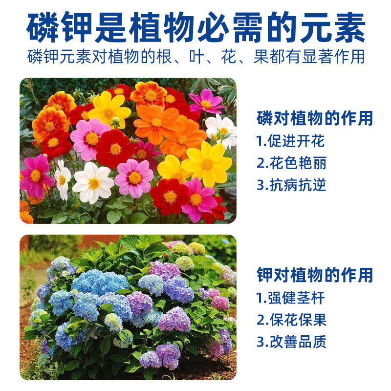 Potassium Dihydrogen Phosphate Agricultural Water-Soluble Fertilizer, Phosphorus and Potassium Compound Fertilizer, Industrial-Grade Culture Medium, Water Treatment Strains, Industrial Selection